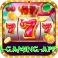 Dragon Tiger Club Mega Gaming App